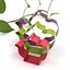 stainless steel cookie cutter